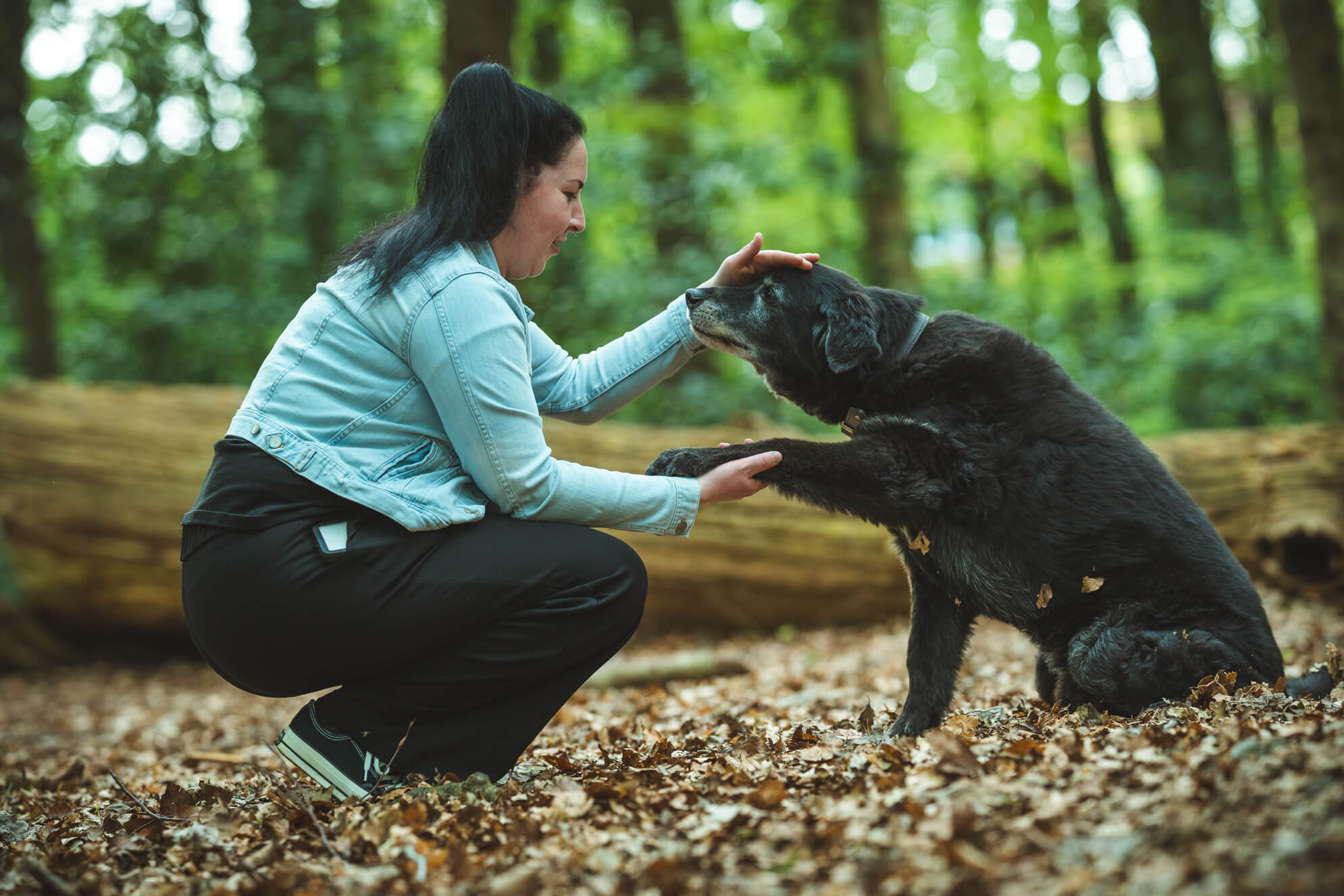 Hundefotografie Ostfriesland Aurich